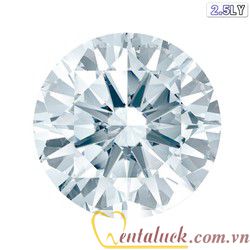 Hạt gắn răng SWAROVSKI Áo Hạt gắn răng SWAROVSKI Áo