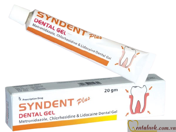 Kem viêm lợi Syndent Plus 20g Kem viêm lợi Syndent Plus 20g