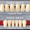 Răng Giả NOSYDENT Compostie Nhật 2 lớp Răng Giả NOSYDENT Compostie Nhật 2 lớp
