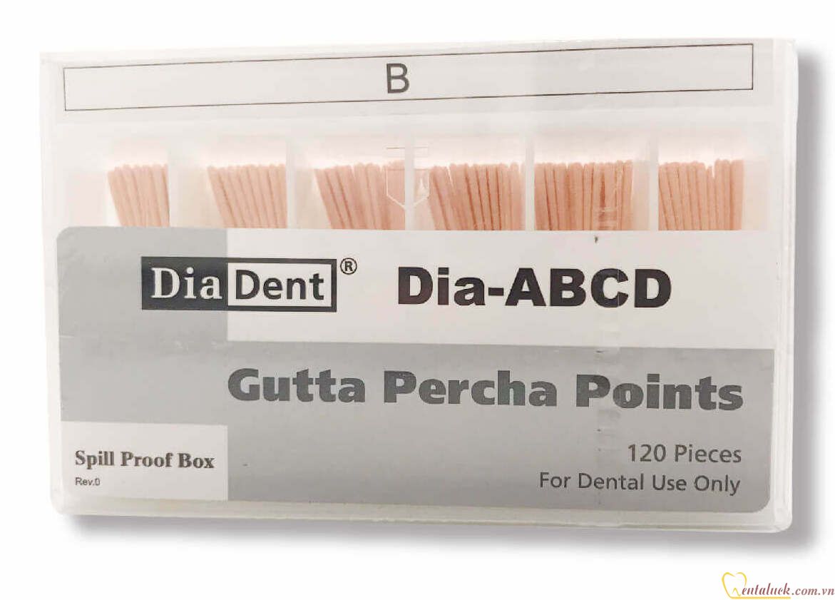 Cone phụ Diadent Gutta Percha B (120c/hộp) Cone phụ Diadent Gutta Percha B (120c/hộp)